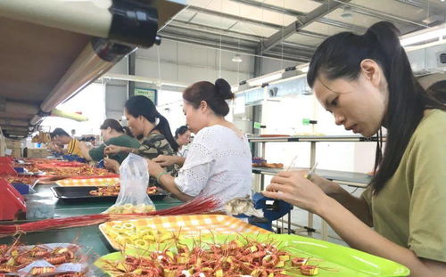 10月29日,平乐这场招聘会不容错过